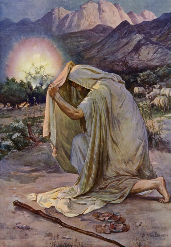 Palava pensas (väri litho) tekijältä Robert Payton Reid