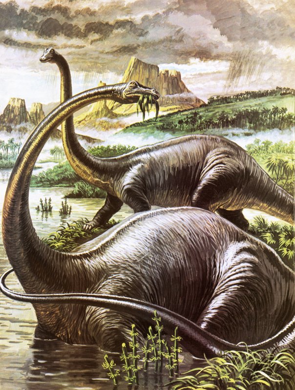 Diplodocus tekijältä Roger Payne