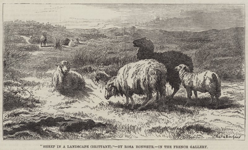 Lampaat maisemassa, Bretagne tekijältä Rosa Bonheur