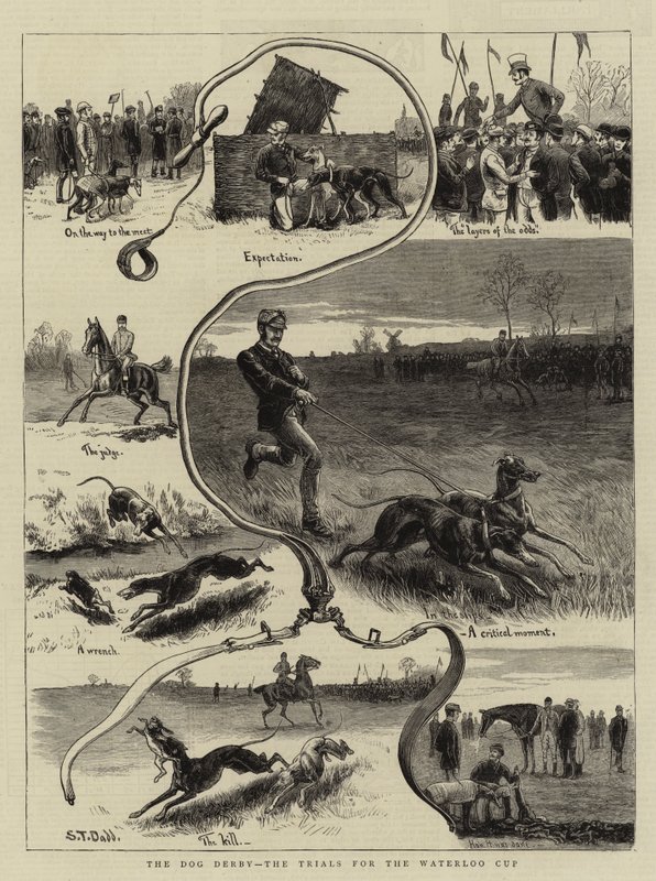 Dog Derby, Waterloo Cupin kokeet tekijältä S.T. Dadd