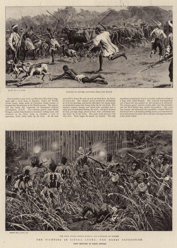 Taistelut Sierra Leonessa, Mendi-retkikunta tekijältä S.T. Dadd