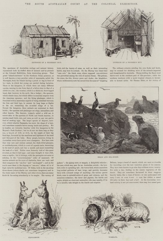 Etelä-Australian tuomioistuin siirtomaanäyttelyssä tekijältä S.T. Dadd