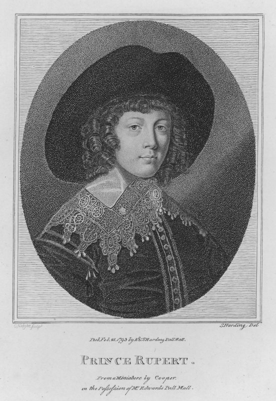 Prinssi Rupert (kaiverrus) tekijältä S. (after) Harding