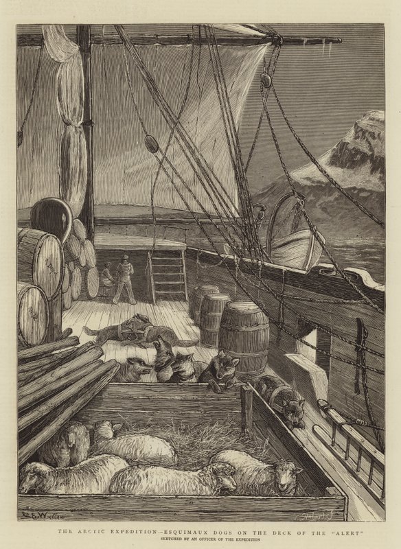 Arctic Expedition, Esquimaux Dogs on the Deck of Alert tekijältä Samuel Edmund Waller