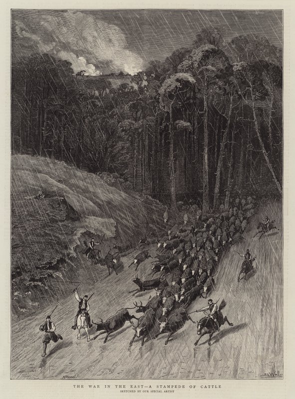Sota idässä, karjapolkujen ryntäys tekijältä Samuel Edmund Waller