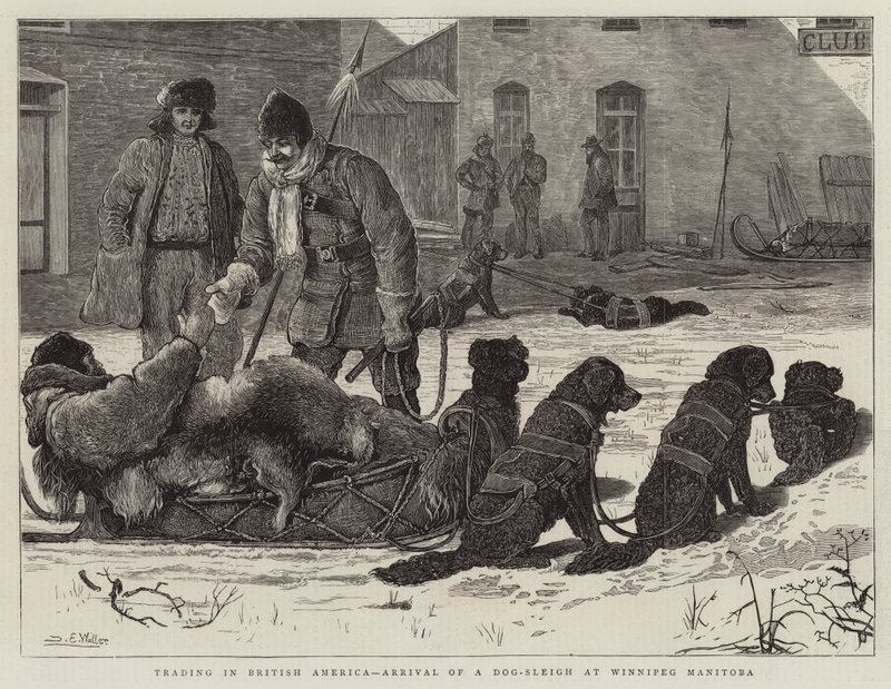 Kaupankäynti Britti-Amerikassa, koiravaljan saapuminen Winnipeg Manitobaan tekijältä Samuel Edmund Waller