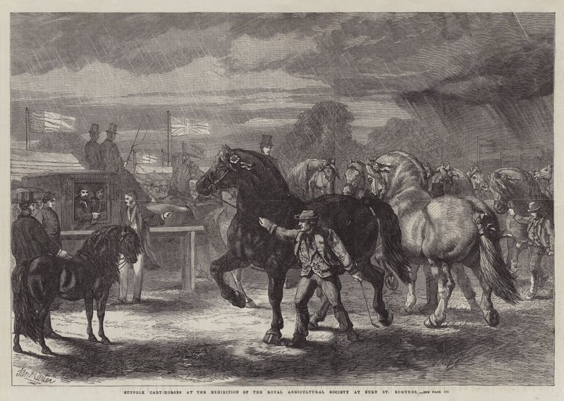 Suffolkin kärryhevoset Royal Agricultural Societyn näyttelyssä Bury St Edmundsissa tekijältä Samuel John Carter