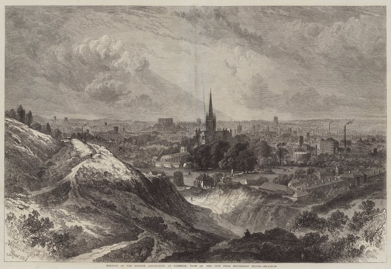 British Associationin kokous Norwichissa, kaupunkinäkymä Mousehold Heathista tekijältä Samuel Read
