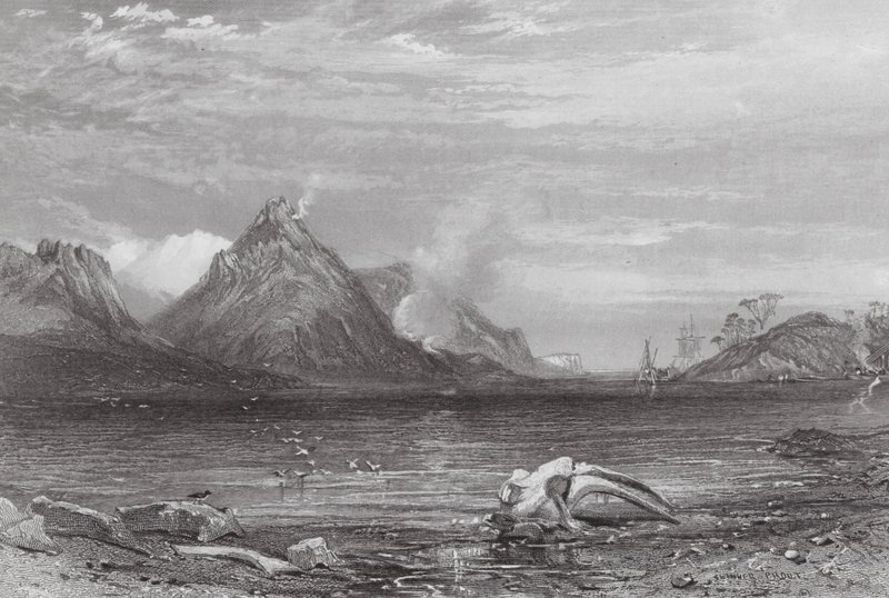 Australia: Whaling Station (kaiverrus). tekijältä Samuel (after) Prout