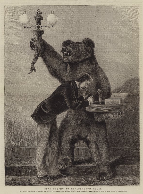 Bear Trophy Marlborough Housessa tekijältä Samuel Edmund Waller