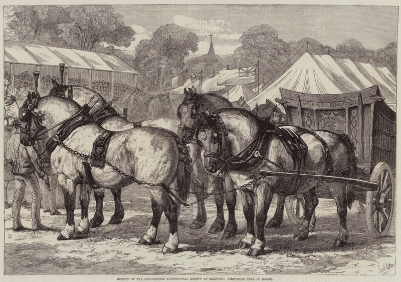 Lincolnshire Agricultural Societyn kokous Sleafordissa, ensimmäisen palkinnon saanut hevosjoukkue tekijältä Samuel John Carter