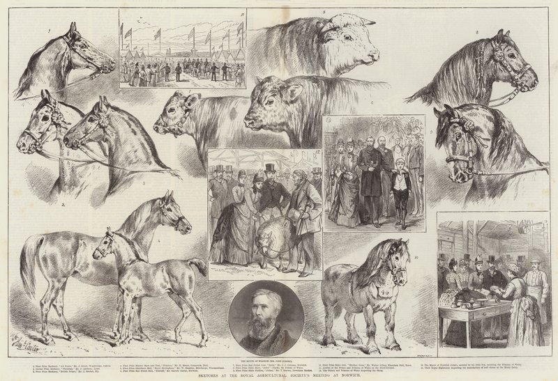 Luonnokset Royal Agricultural Societyn kokouksessa Norwichissa tekijältä Samuel John Carter