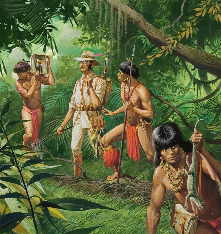 Henry Bates, Amazonin altaan tutkija tekijältä Severino Baraldi