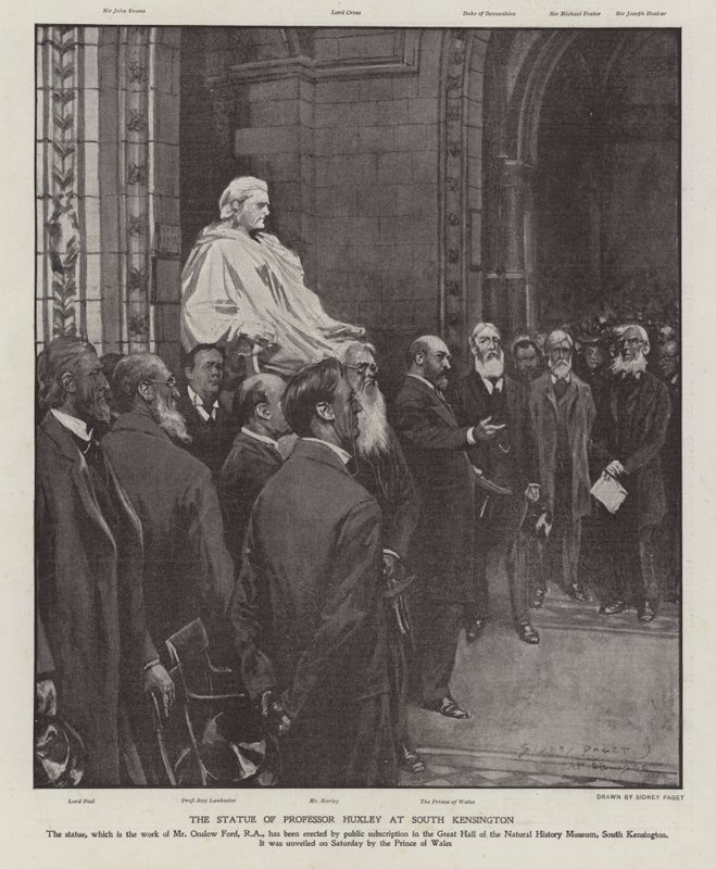 Professori Thomas Henry Huxleyn patsas Natural History Museumin suuressa salissa, South Kensington, Lontoo (litho) tekijältä Sidney Paget