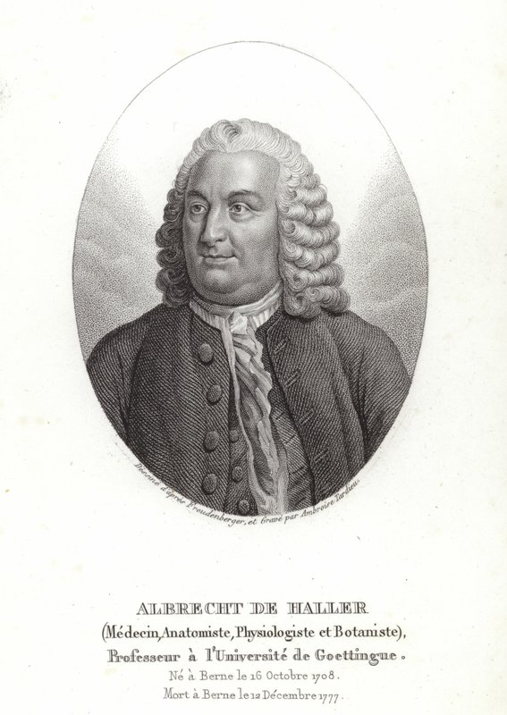 Albrecht von Haller tekijältä Sigmund Freudenberger