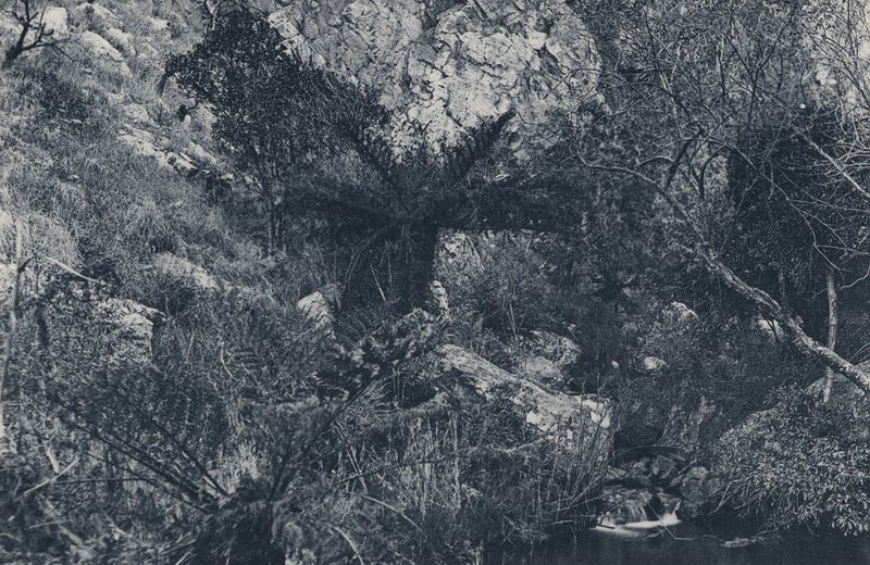 Witpoortje Kloofissa (m/w kuva) tekijältä South African Photographer