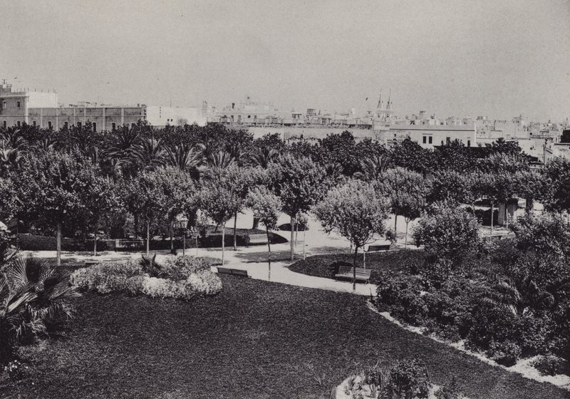 Cadiz: Parque Genoves (m/w kuva) tekijältä Spanish Photographer