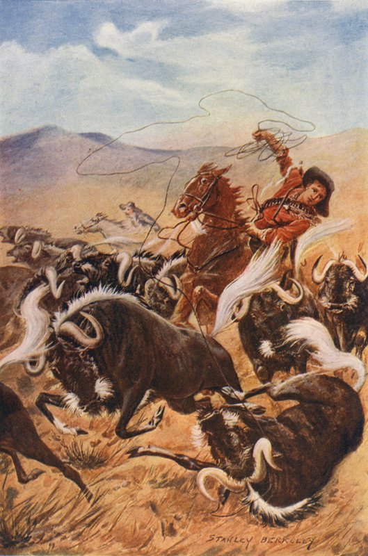 Cowboy lassoaa myskikettua (värilitografia) tekijältä Stanley (after) Berkeley