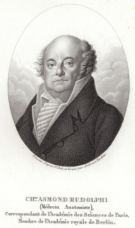 Karl Asmund Rudolphi tekijältä Swedish School