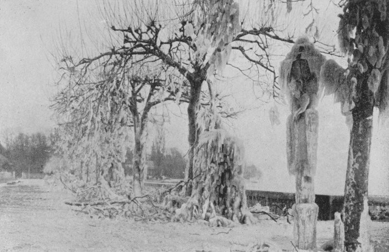 Paquisissa Genevessä, talvi 1896 (b/w kuva) tekijältä Swiss Photographer
