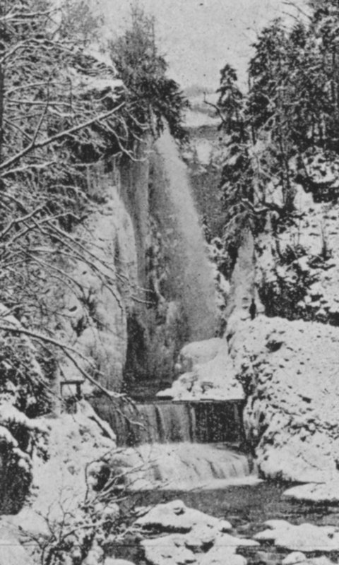 Taubenloch Gorges, lähellä Bieliä talvella (m/w kuva) tekijältä Swiss Photographer