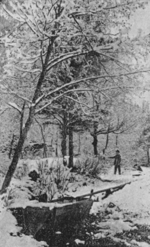 Talvimaisema Meiringenissä, Berner Oberlandissa (b/w kuva) tekijältä Swiss Photographer