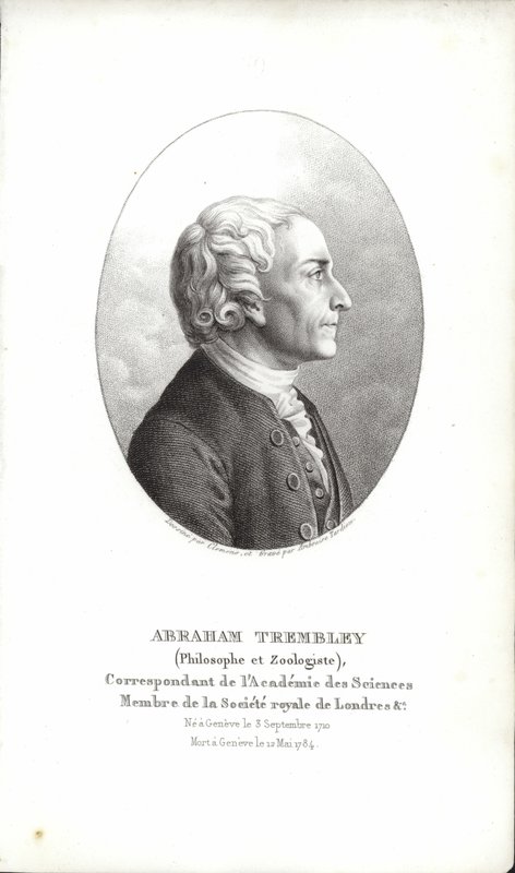 Abraham Trembley tekijältä Swiss School
