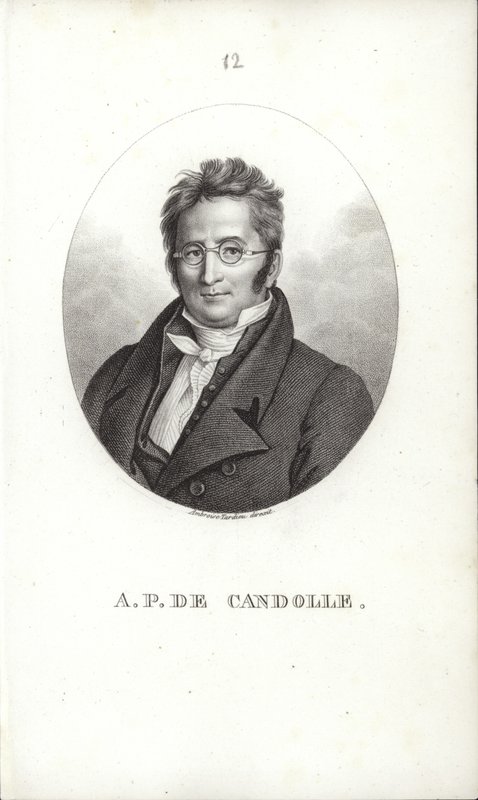 Augustin Pyramus de Candolle tekijältä Swiss School