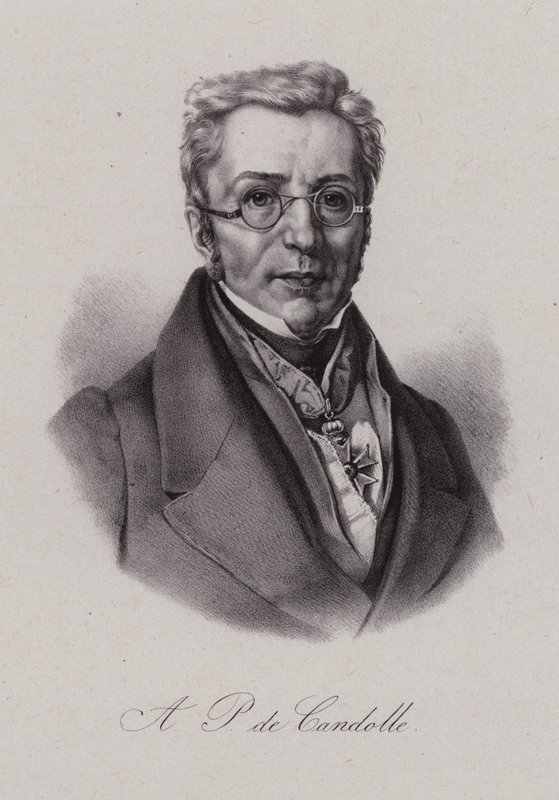 Augustin Pyramus de Candolle, sveitsiläinen kasvitieteilijä (kaiverrus) tekijältä Swiss School