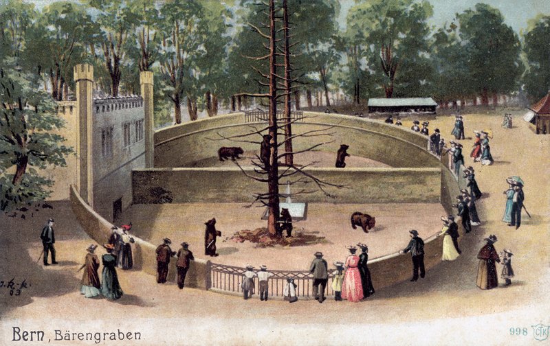 Bern, Bear Garden (väri litho) tekijältä Swiss School