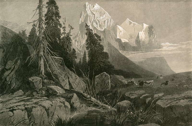 Wellhorn ja Wetterhorn tekijältä Swiss School