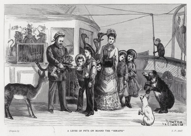 Kuningas Edward VII vangittujen villieläinten kanssa joukkolaivassa, Serapit hänen vierailullaan Intiassa tekijältä Sydney Prior (after) Hall