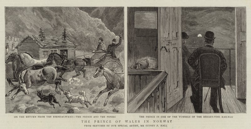 Walesin prinssi Norjassa tekijältä Sydney Prior Hall