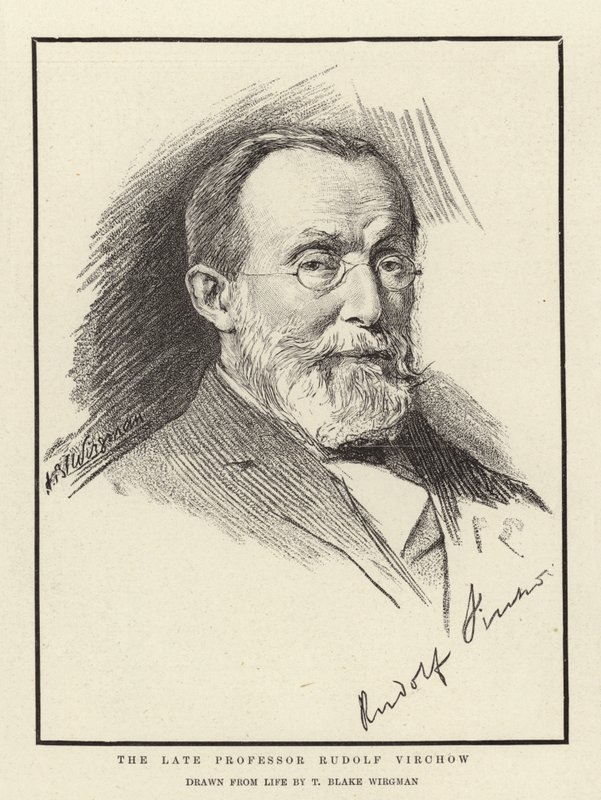 Edesmennyt professori Rudolf Virchow tekijältä Theodore Blake Wirgman