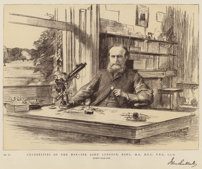 Päivän julkkikset, Sir John Lubbock, Baronet, kansanedustaja, DCL, FRS, LLD tekijältä Theodore Blake Wirgman