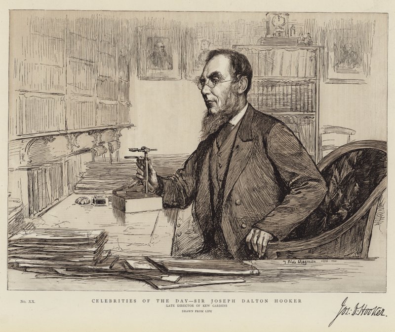 Päivän julkkikset, Sir Joseph Dalton Hooker tekijältä Theodore Blake Wirgman