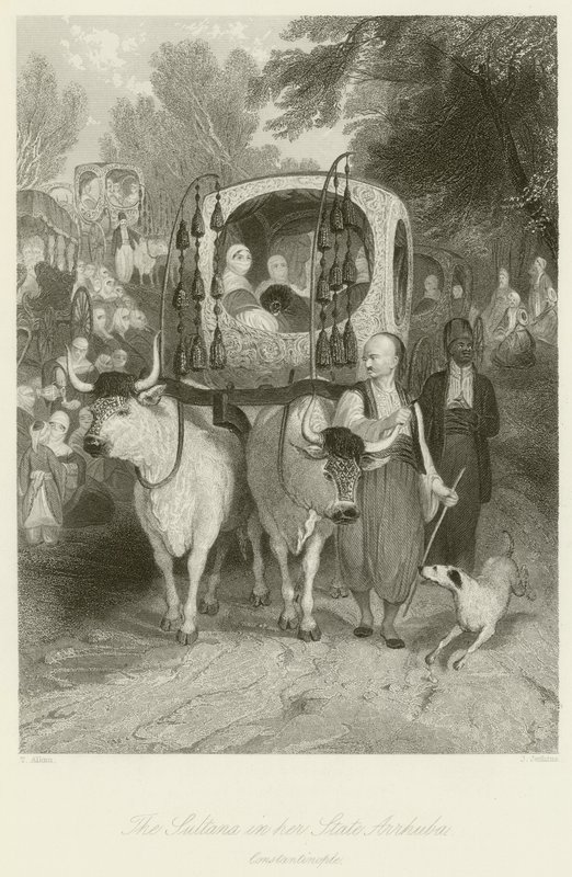 Sulttaana osavaltiossaan Arrhuba tekijältä Thomas Allom
