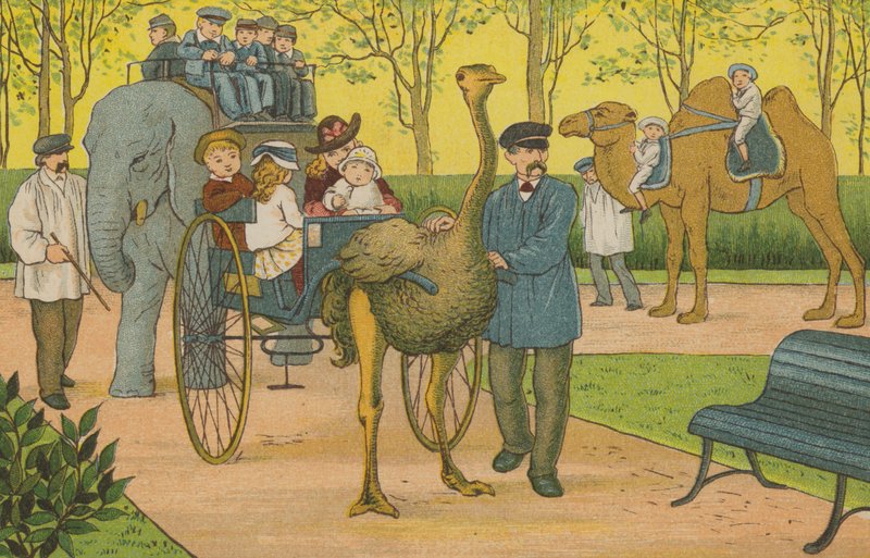 Pariisi: eläintarha (väri litho) tekijältä Thomas Crane