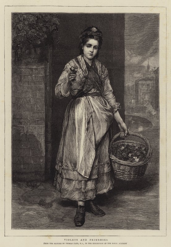 Violetit ja esikoot tekijältä Thomas Faed