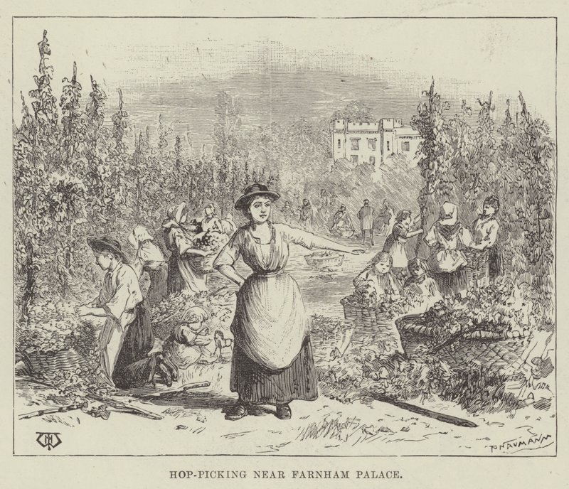 Hop-picking lähellä Farnhamin palatsia tekijältä Thomas Harrington Wilson