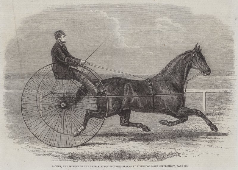Jackey, edesmenneen Aintree Trotting Stakesin voittaja Liverpoolissa tekijältä Thomas Harrington Wilson