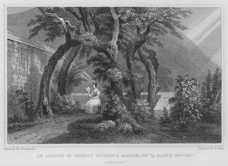 Arbor Regent Murray