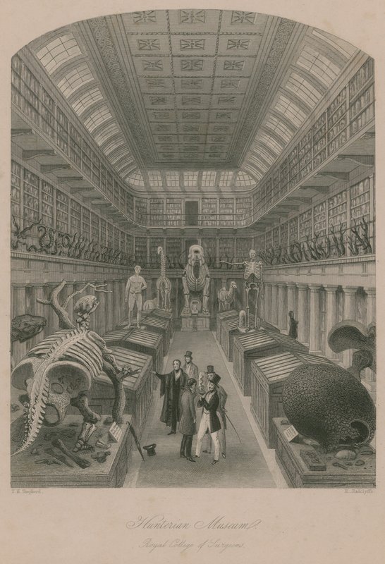Hunterian Museum, Royal College of Surgeons, Lontoo tekijältä Thomas Hosmer Shepherd