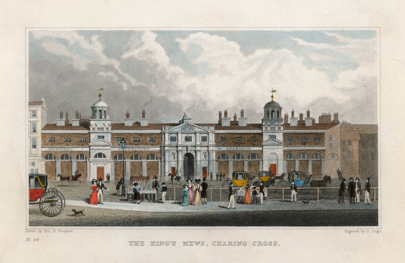 The Kings Mews, Charing Cross. Edward Crossin Menagerien väliaikainen koti tekijältä Thomas Hosmer Shepherd