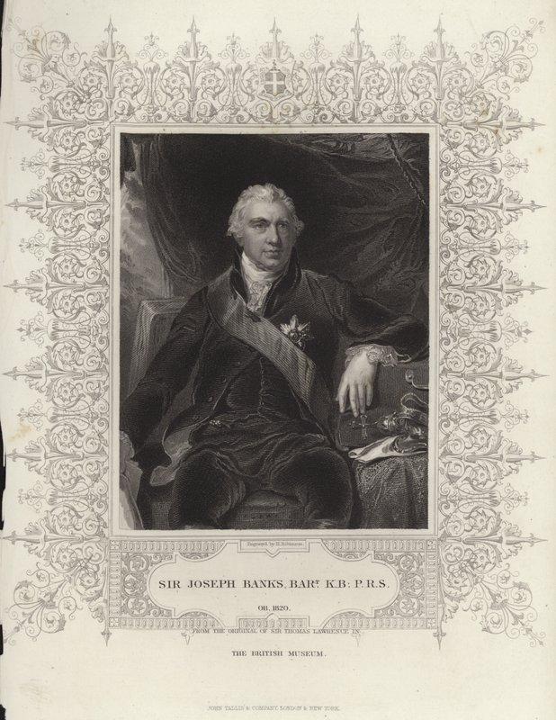 Sir Joseph Banks tekijältä Thomas Lawrence
