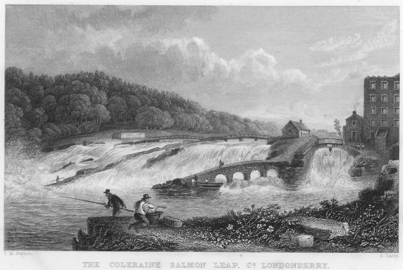 The Coleraine Salmon Leap, County Londonderry (kaiverrus) tekijältä Thomas Mann (after) Baynes