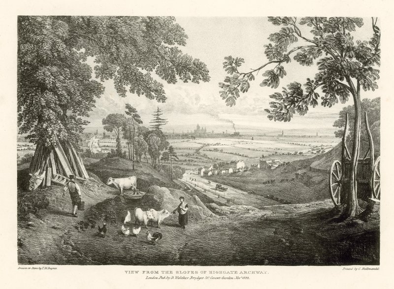 Näkymä Highgate Archwayn rinteiltä tekijältä Thomas Mann Baynes