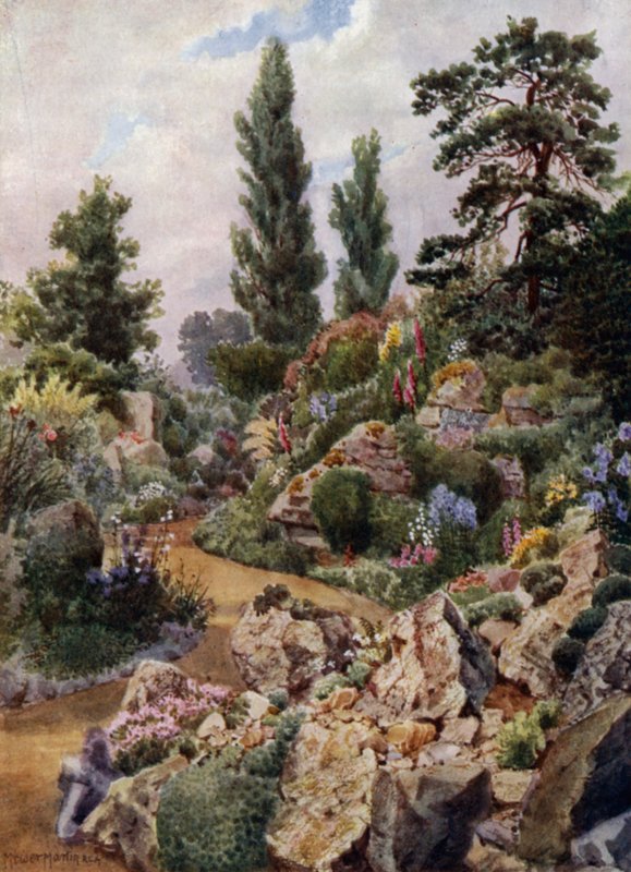 Kew Gardens: In the Rock Garden (väri litho) tekijältä Thomas Mower Martin