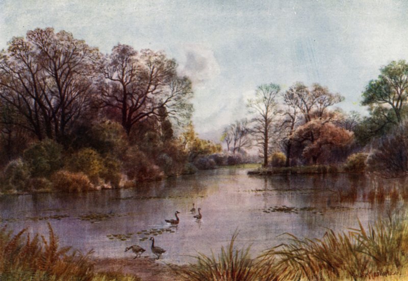 Kew Gardens: The Lake (väri litho) tekijältä Thomas Mower Martin