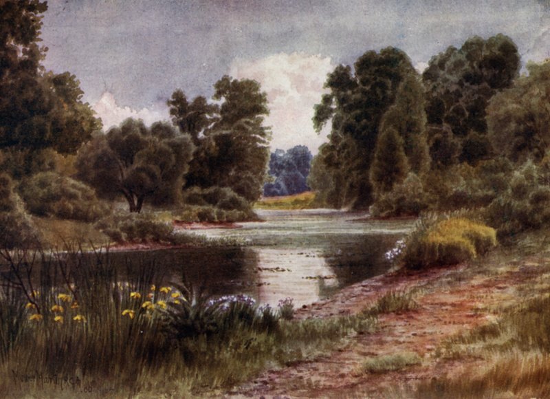 Kew Gardens: Järvi, Etelään katsova (väri litho) tekijältä Thomas Mower Martin